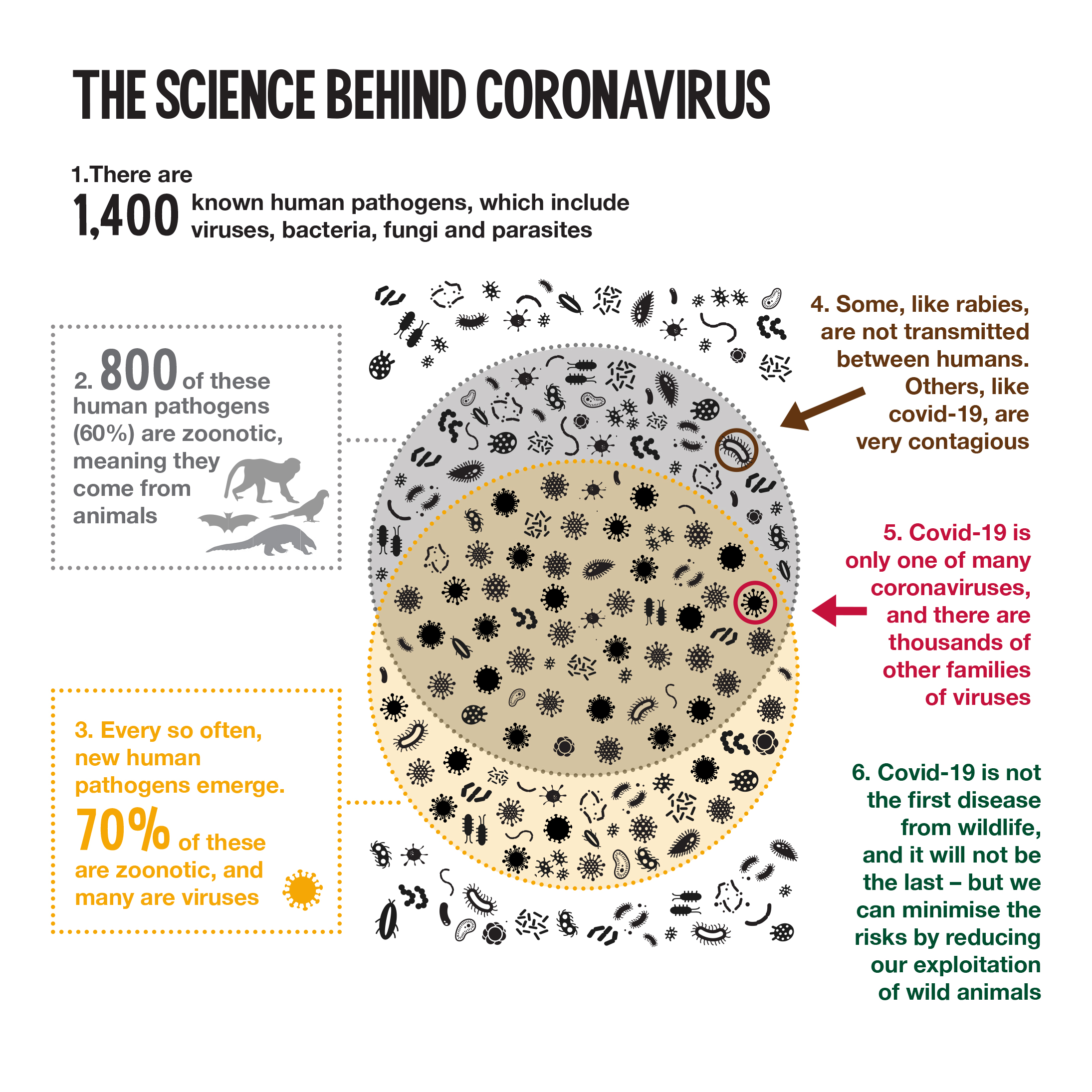 How is wildlife affected by coronavirus?